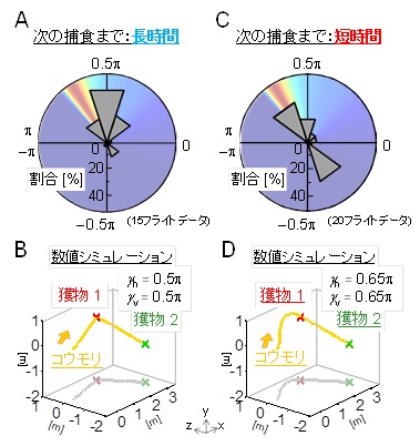 計測したコウモリの飛行軌跡から飛行の選択的注意をパラメータ推定した結果（A, C）と数値シミュレーションの例（B, D）