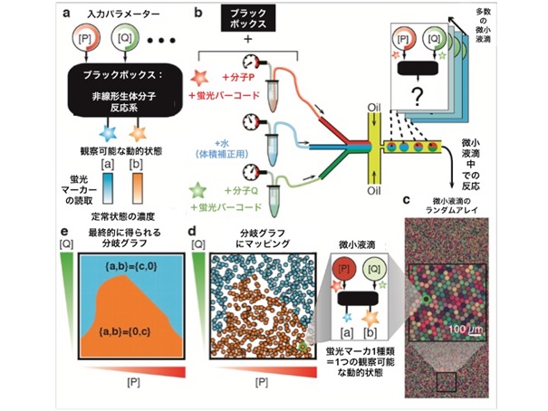 開発した手法の概要