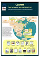 Center for International Research on <br>Micronano Mechatronics (CIRMM)