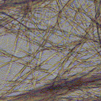 fiber.gif