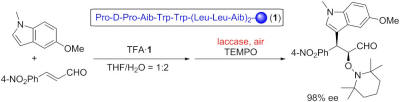 equation image