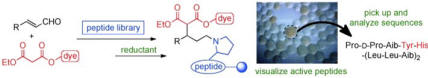 Thumbnail image of graphical abstract