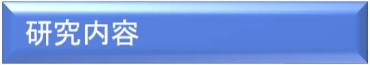 研究内容