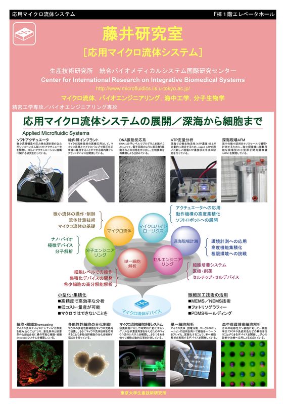 iPj