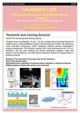 KAJIHARA Lab. 
