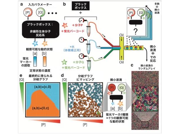 開発した手法の概要