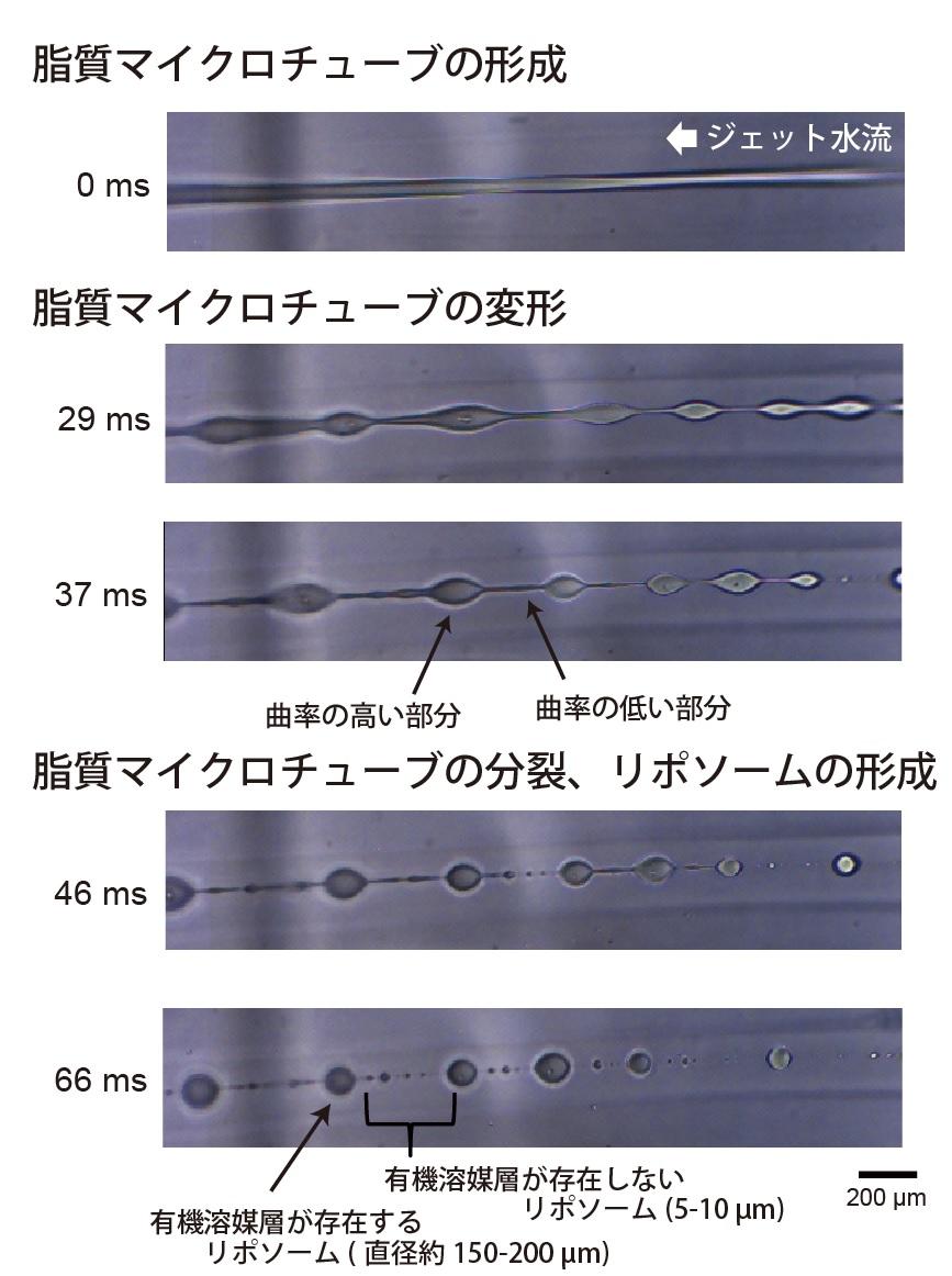 本リポソーム作製法の高速度カメラ撮影