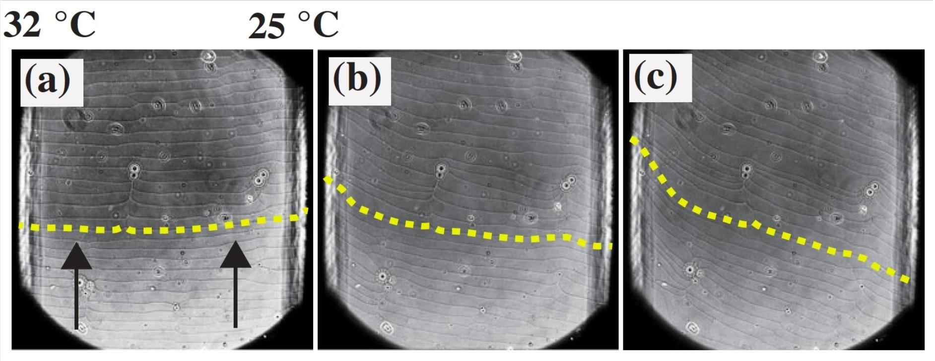 Fig2.jpg