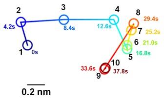 図２　本研究で観察されたイオン液体中の金イオンの動きの軌跡。