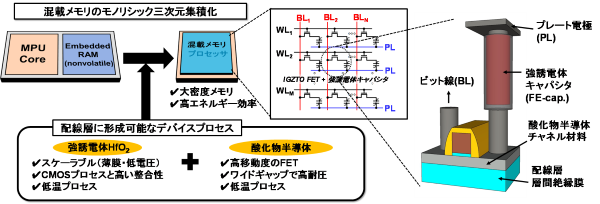 図１_ko.png