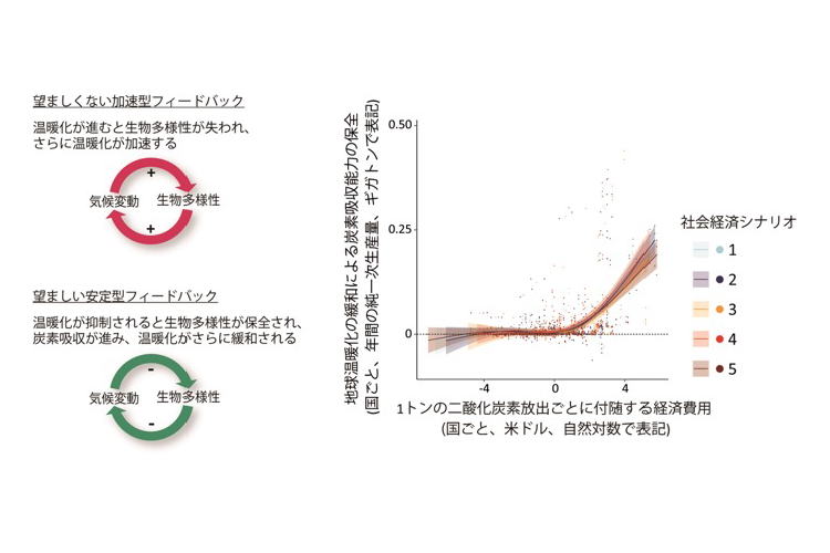 竹内先生.png