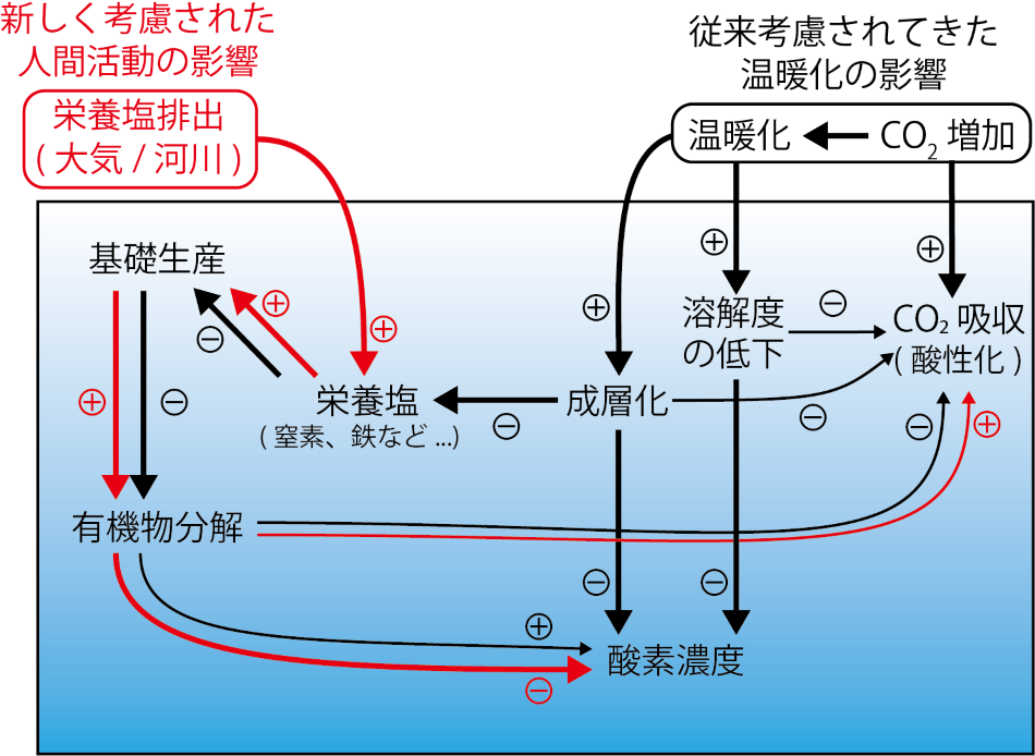 山崎先生図1.png