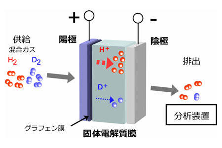 原子一個の厚みのカーボン膜で水素と重水素を分ける-2.png