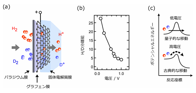 原子一個の厚みのカーボン膜で水素と重水素を分ける-3.png