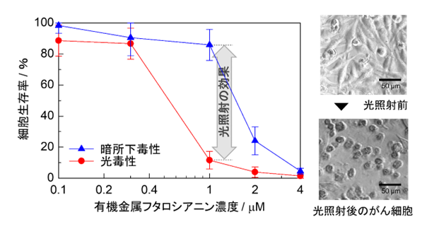 光がん治療法の新原理を提案-2.png