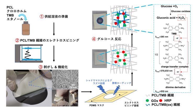 日本語版画像.jpg