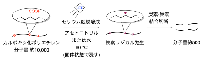 co_02.png