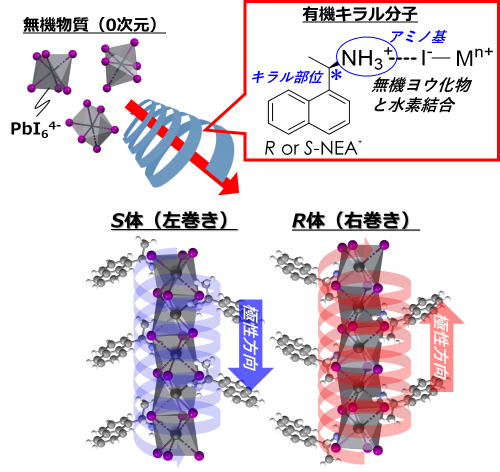 pb02.png