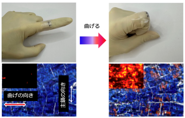 色の変化で力を可視化するウェアラブルセンサの開発～感度の限界を突破!異方性制御で力に反応するスマート素材を高感度に～