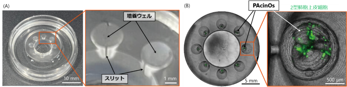 den02.png
