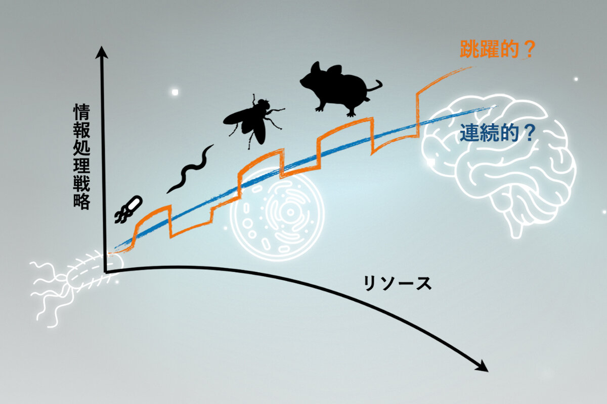 KobayashiProf1200_800.jpg