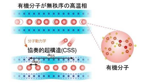 css01.jpg