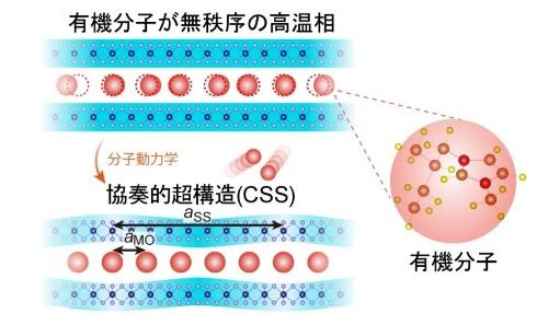 css02.jpg