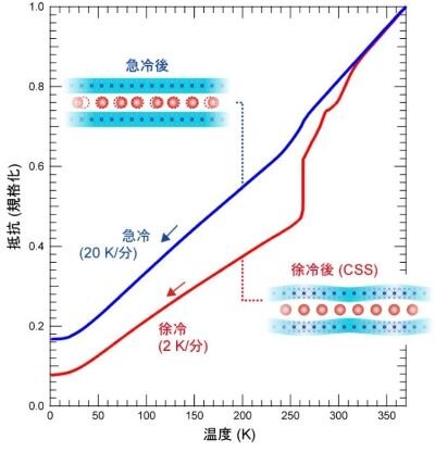 css04.jpg