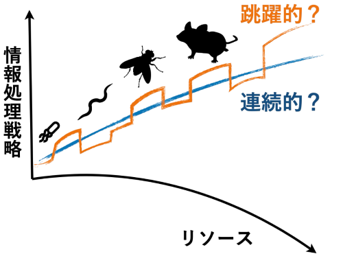 reso02.png