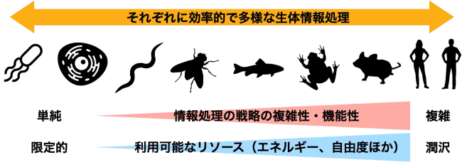 reso03.png