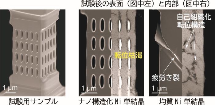 梅野先生画像01.jpg