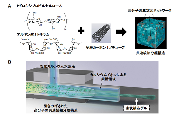 束状ゲル構造作成のコンセプト図